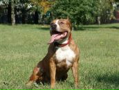 Фотография Иванова Дмитрия