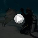 Ігор Совсунець фотография #27 (источник - https://vk.com/id159988693)