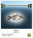 Діма Чейпеш фотография #19 (источник - https://vk.com/id160940576)