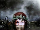 Фотография Kuznetsov Aleksei