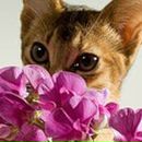 Катя Лайт фотография #18 (источник - https://vk.com/id3798287)