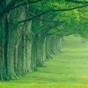 Іра Шайбан фотография #9 (источник - https://vk.com/id163040490)