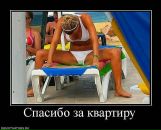 Антон Лірник фотография #30 (источник - https://vk.com/id162960128)