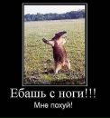Антон Лірник фотография #50 (источник - https://vk.com/id162960128)