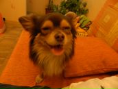 Фотография Филатовой Светланы