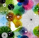 Аліна Довгулевич фотография #20 (источник - https://vk.com/id165709793)