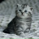 Іринка Недокус фотография #50 (источник - https://vk.com/id159238312)