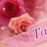 Танюха Стасів фотография #27 (источник - https://vk.com/id167823705)