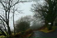 Іван Васильович фотография #49 (источник - https://vk.com/id20218875)