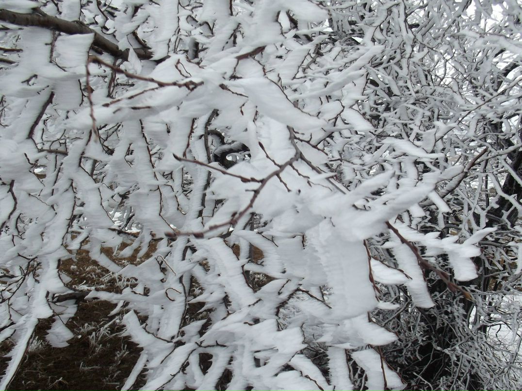 Александр Мищенко фотография #48