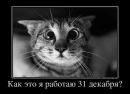 Фотография Вареничевой Оксаны