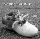 Галина Сафронів фотография #47 (источник - https://vk.com/id24086286)