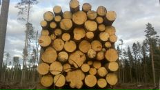 Фотография Андреева Игоря