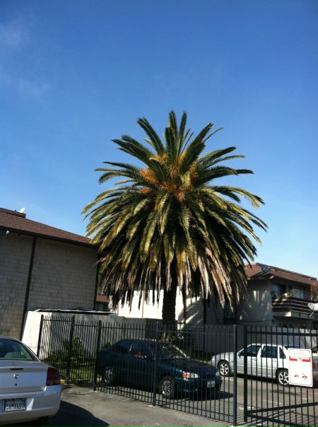 Федор Гончар фото №13