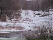 Євгеній Паламарчук фотография #46 (источник - https://vk.com/id19605009)