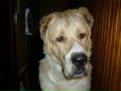 Фотография Струкова Юрия