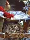 Іванка Линник фотография #19 (источник - https://vk.com/id156729722)