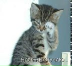 Фотография Родкина Романа