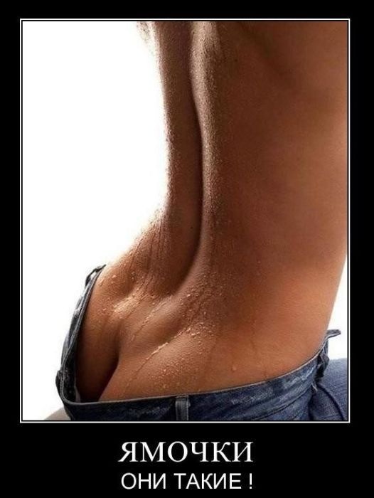 Дмитрий Мельников фотография #49