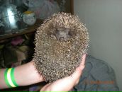 Фотография Маркеловой Кристины