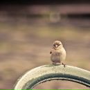 Фотография Гревцовой Евгении