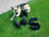 Εвгения Κузнецова фотография #8 (источник - https://vk.com/id126744404)