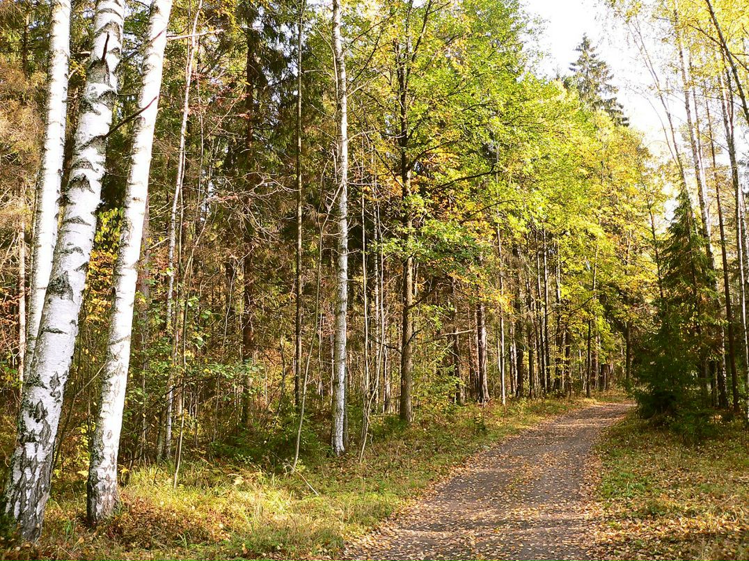 Альберт Зайнеев фотография #29