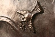 Дарья Климова фотография #23 (источник - https://vk.com/id345768)