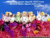 Андрій Ленько фотография #25 (источник - https://vk.com/id89376220)