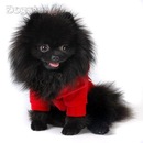 Юлічка Герун фотография #34 (источник - https://vk.com/id135355834)