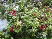 Константин Костин фотография #46 (источник - https://vk.com/id4100683)