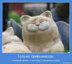 Фотография Павловой Светланы