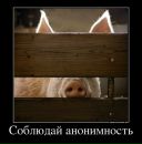 Фотография Хафизова Эмиля