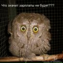 Тетяна Ігнатова фотография #45 (источник - https://vk.com/id73509291)