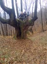 Міша Перебзяк фотография #23 (источник - https://vk.com/id74019244)