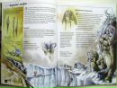 Scatur Cervina фотография #42 (источник - https://vk.com/id113406680)