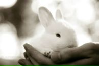 Фотография Дубенской Софьи