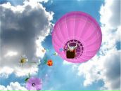 Фотография Даниловой Алены