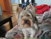 Фотография Богдановой Ирины