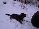 Ігор Ігорьок фотография #44 (источник - https://vk.com/id150842114)