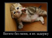 Олег Молофеев фотография #43 (источник - https://vk.com/id96820106)