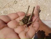 Дмитрий Селентьев фотография #32 (источник - https://vk.com/id418168)