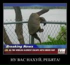 Тима Мороз фотография #12 (источник - https://vk.com/id249775)