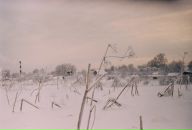 Фотография Николаевой Дарьи