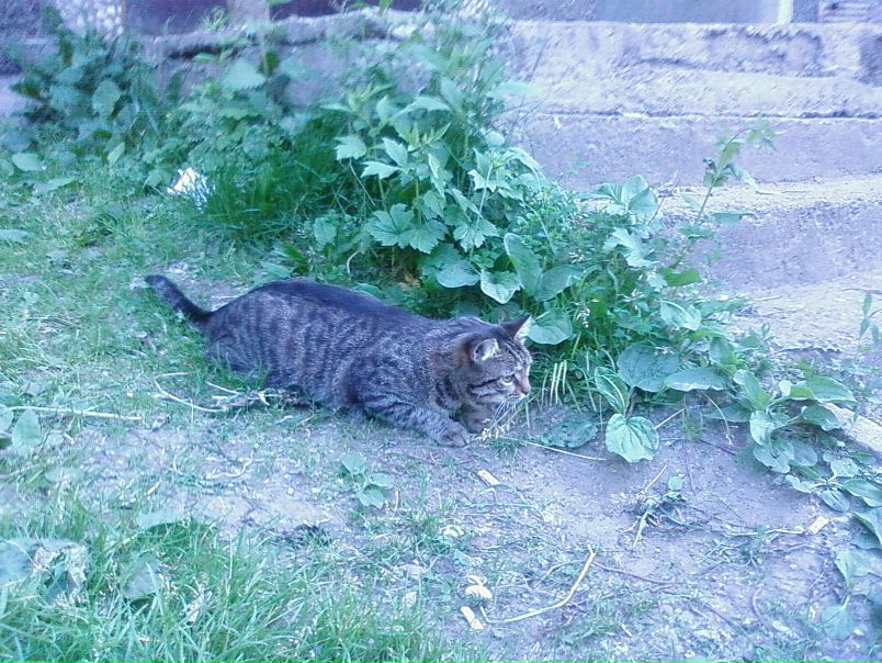 Лариса Плотникова фото №3