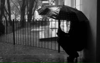 Фотография Захаровой Анны