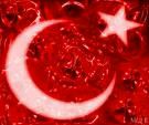 Mustafa Necati фотография #41 (источник - https://vk.com/id91042410)