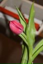 Фотография Быргиной Ирины