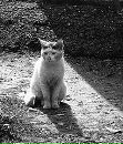 Яринка Проців фотография #18 (источник - https://vk.com/id101201102)