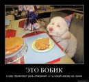 Вася Гайфуллин фотография #26 (источник - https://vk.com/id10224501)